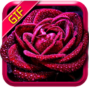love flowers and rose gif 4k APK