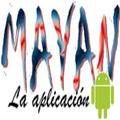 Mayansoi 2.0
