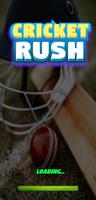 Real Cricket Run: Cricket Game Affiche