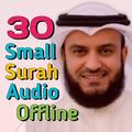 30 Small Surah tilawat audio