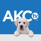 AKC.TV آئیکن