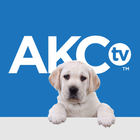 AKC.TV আইকন