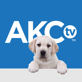 AKC.TV icône