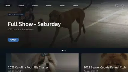 AKC.TV XAPK Herunterladen