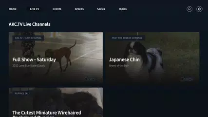 AKC.TV XAPK Herunterladen