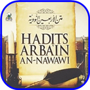 Terjemah Hadits Arbain Nawawi  APK