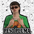 Peso pluma Stickers