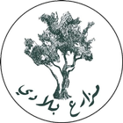 Mazarea belady آئیکن