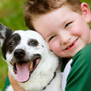 Boy With Dog Wallpapers Theme-APK