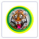 APK Tippu sultan Travels