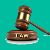 Basic Law Terms ícone