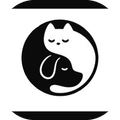 cats dogs wallpaper