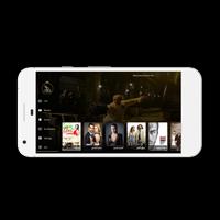Falcon VIP โปสเตอร์