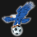 VULTURE TV APK