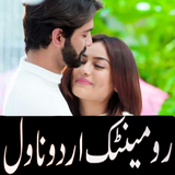 Urdu Novels 2020 offline icône
