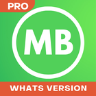 MB Whats Version Walkthrough icône