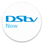 DStv Now アイコン