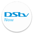 DStv Now icône