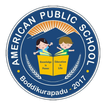 American Public School