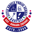 Little Angels Public School APK