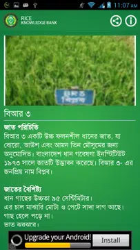 Screenshot 3 for Rice Knowledge Bank