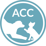 ACC of NYC icon