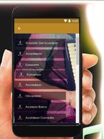Acordeon Screenshot 1