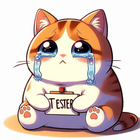 Be My Tester icon