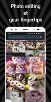 برنامه‌نما Cat Gallery عکس از صفحه