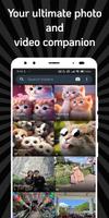 پوستر Cat Gallery