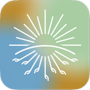 COP27-APK