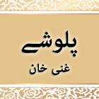 Palwashey by Ghani Khan icon