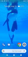 Orca Killer Whale Video Wallpa Affiche