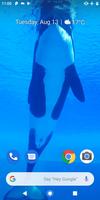Orca Killer Whale Video Wallpa 스크린샷 1