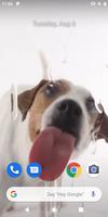 Dog Licking Live Wallpaper poster