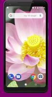 Lotus Video Live Wallpaper bài đăng