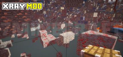 X-Ray Mod تصوير الشاشة 3