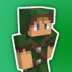 Skin Robin Hood