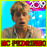 MC Pedrinho 2019