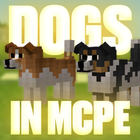 Mod dogs for Minecraft PE icône