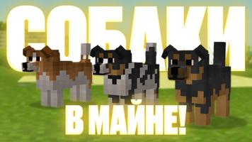 Мод собаки в Майнкрафт ПЕ постер