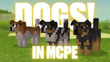 Mod dogs for Minecraft PE পোস্টার