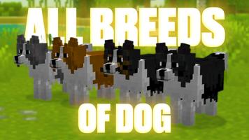 Mod dogs for Minecraft PE اسکرین شاٹ 1
