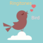 ikon نغمات الطيور : اصوات العصافير