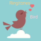 Birds Ringtones icon