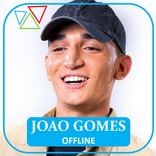 Joao Gomes Musicas Offline