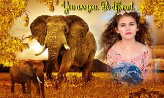 Wild Animal Photo Frame ภาพหน้าจอ 2