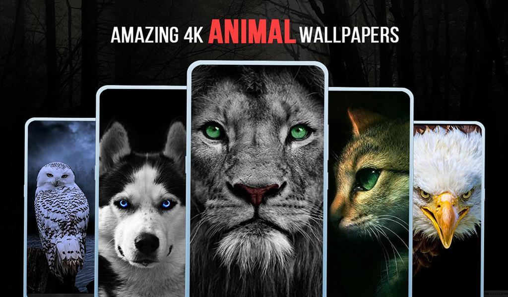 Terbaru 13+ Wallpaper Cinta Gelap - Richa Wallpaper