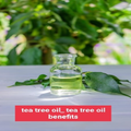 tea tree oil_For hair and skin