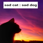 sad cat : sad dog 아이콘